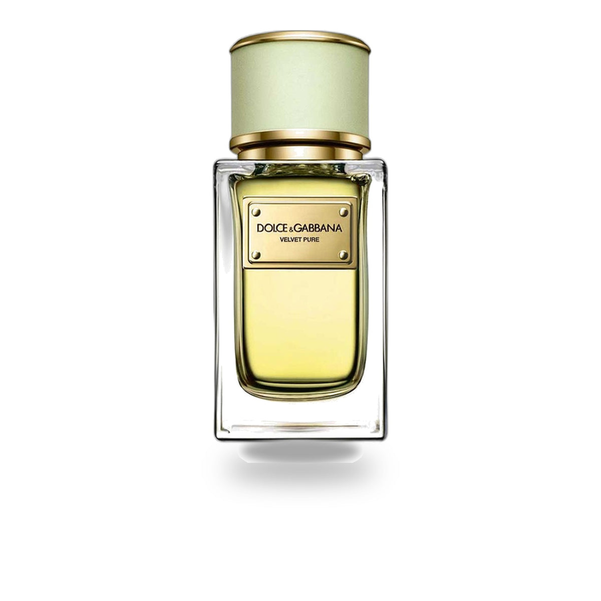Velvet Pure Dolce&Gabbana for women