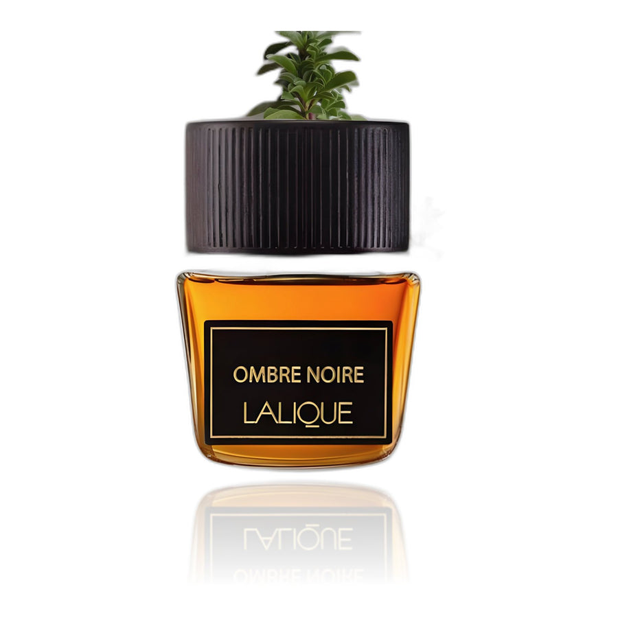 Ombre Noire Lalique for men